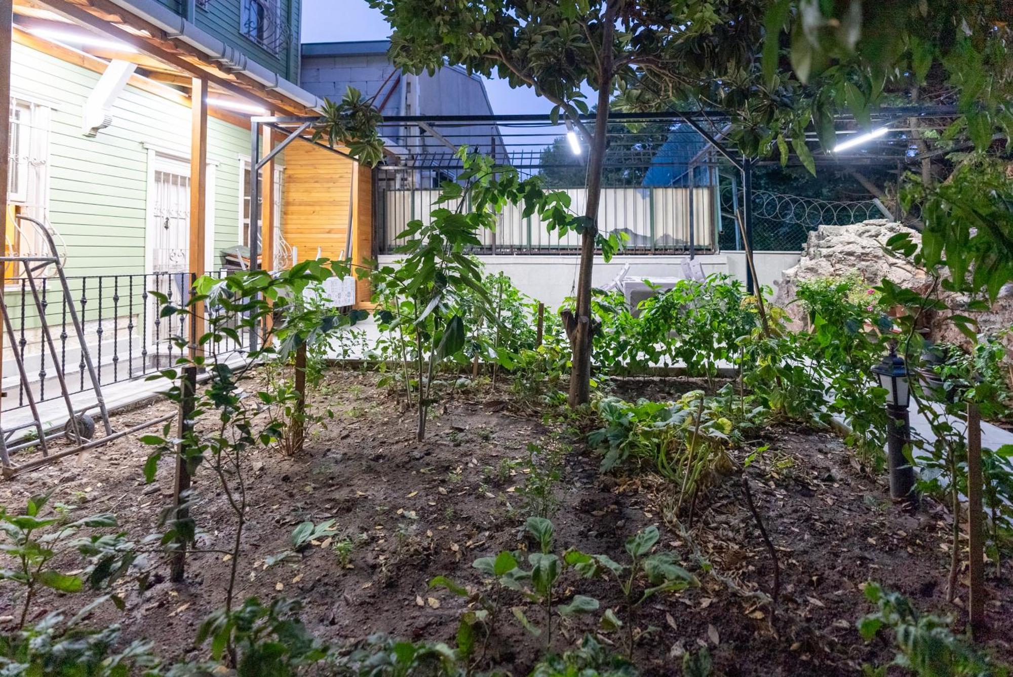Valens Boutique Hotel Istanbul Eksteriør bilde